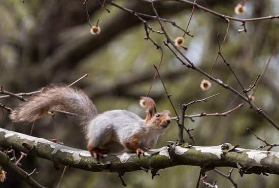 Springtime in Crimea