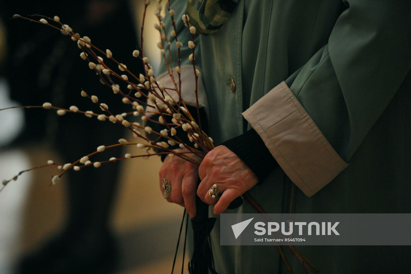 Pussy willows are blessed in Russian regions