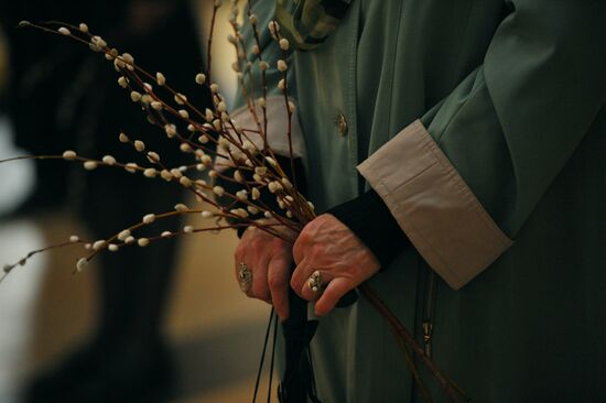 Pussy willows are blessed in Russian regions