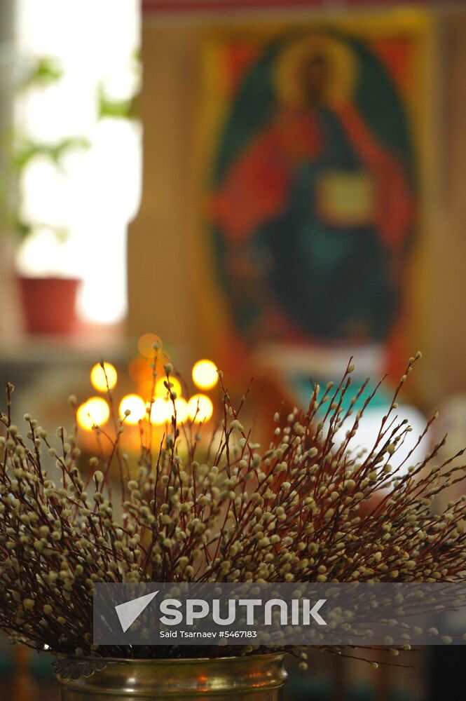 Pussy willows are blessed in Russian regions