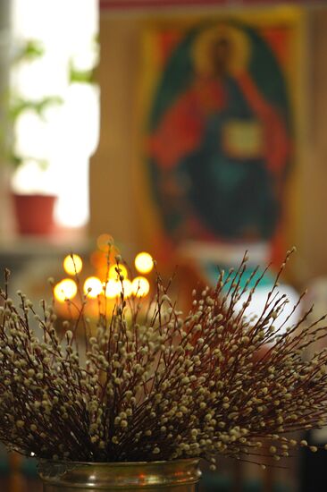 Pussy willows are blessed in Russian regions