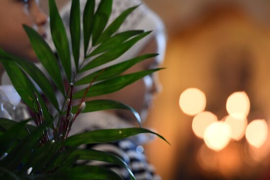 Palm Sunday celebrated in Russia