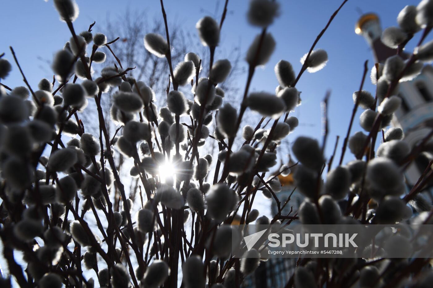 Palm Sunday celebrated in Russia