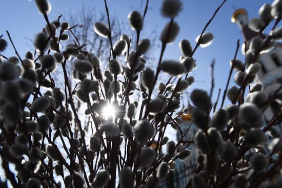 Palm Sunday celebrated in Russia