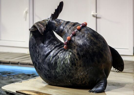 Murmansk Oceanarium
