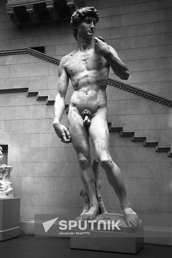 Pushkin State Museum of Fine Arts