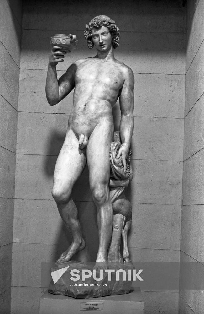 Pushkin State Museum of Fine Arts