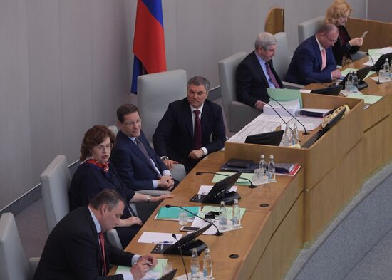 State Duma plenary meeting