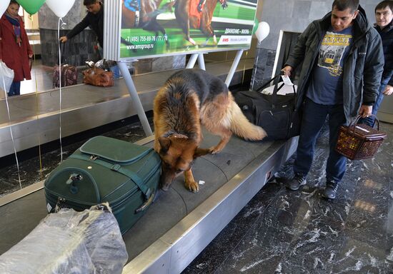Customs at Balandino Airport in Chelyabinsk