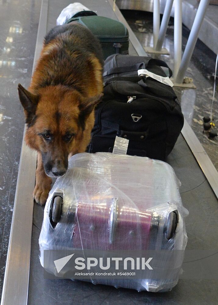 Customs at Balandino Airport in Chelyabinsk
