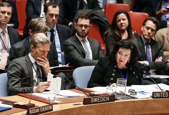 UN Security Council meeting