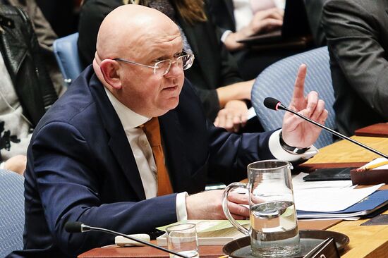 UN Security Council meeting