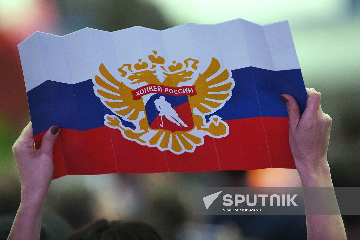 Euro Ice Hockey Challenge. Russia vs. Germany