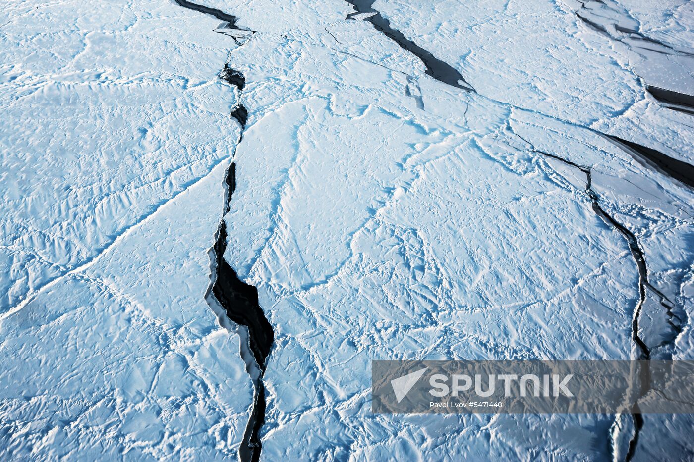 Arctic Ocean