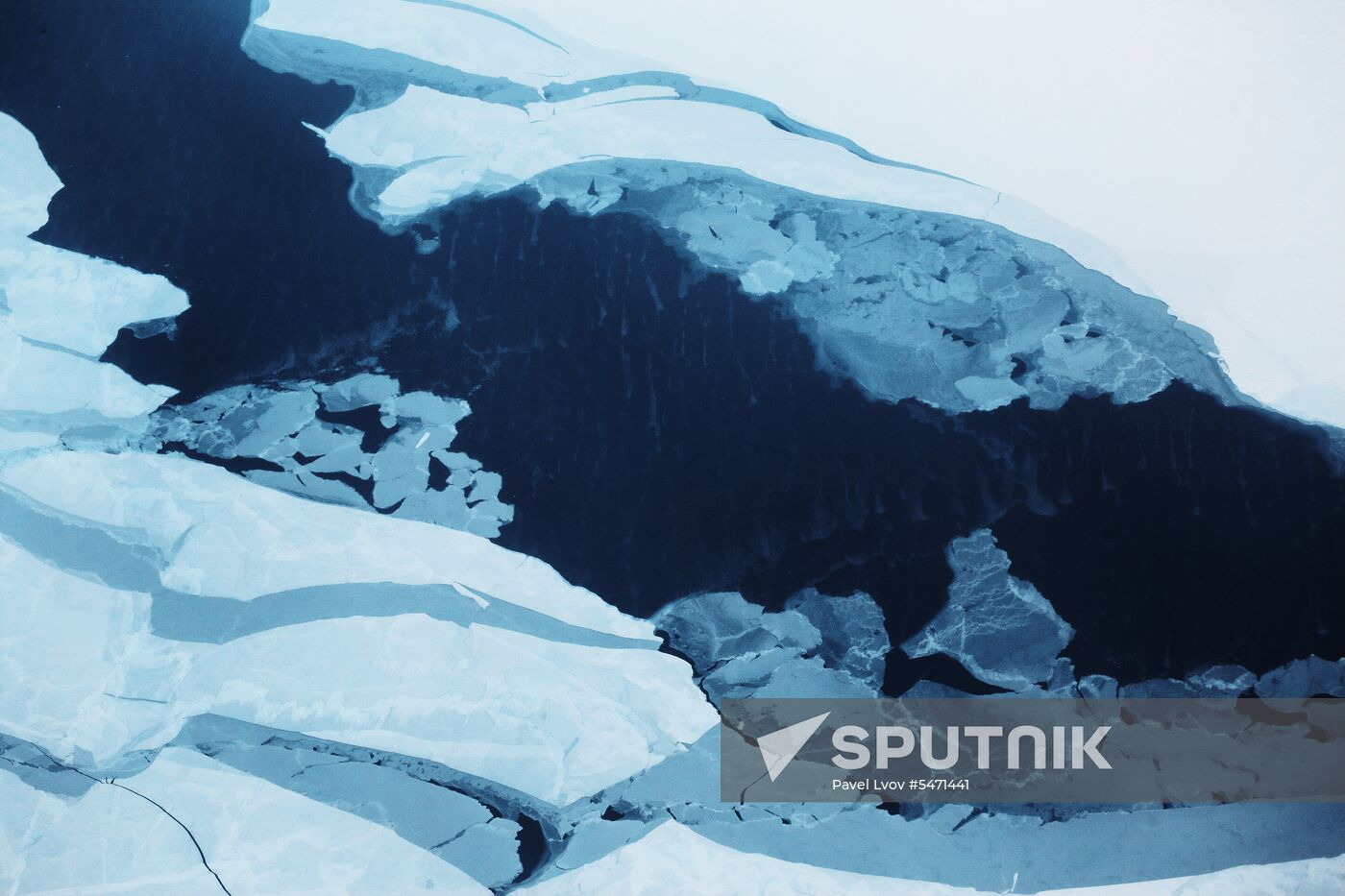 Arctic Ocean