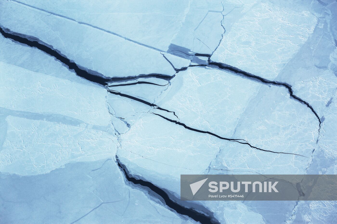 Arctic Ocean