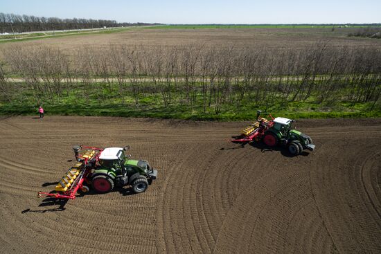 Spring sowing campaign in Krasnodar Territory