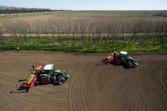 Spring sowing campaign in Krasnodar Territory