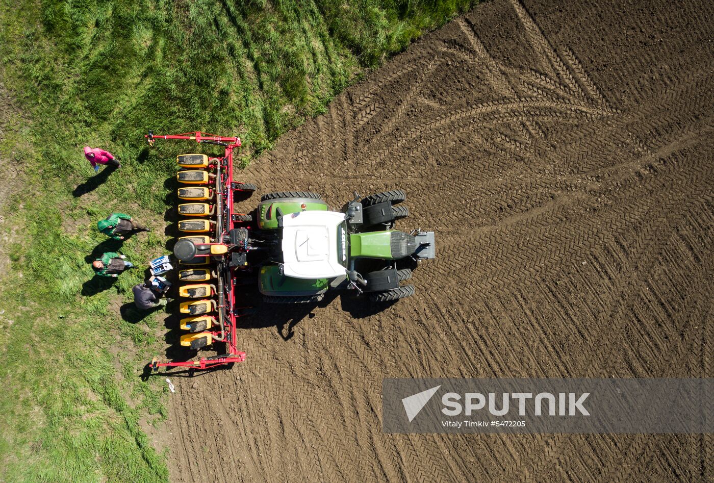 Spring sowing campaign in Krasnodar Territory