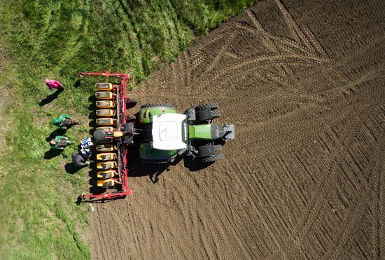 Spring sowing campaign in Krasnodar Territory