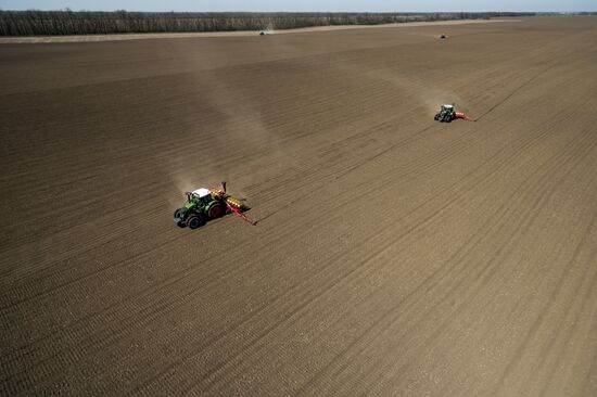 Spring sowing campaign in Krasnodar Territory