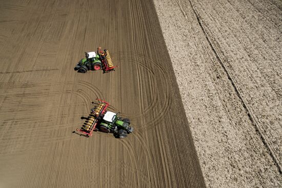 Spring sowing campaign in Krasnodar Territory
