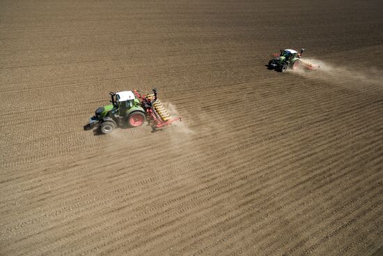Spring sowing campaign in Krasnodar Territory