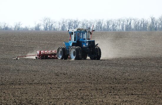 Spring sowing campaign in Krasnodar Territory