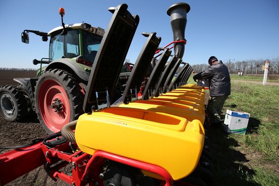 Spring sowing campaign in Krasnodar Territory