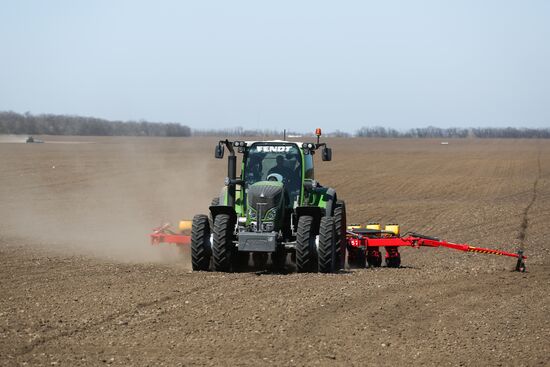 Spring sowing campaign in Krasnodar Territory
