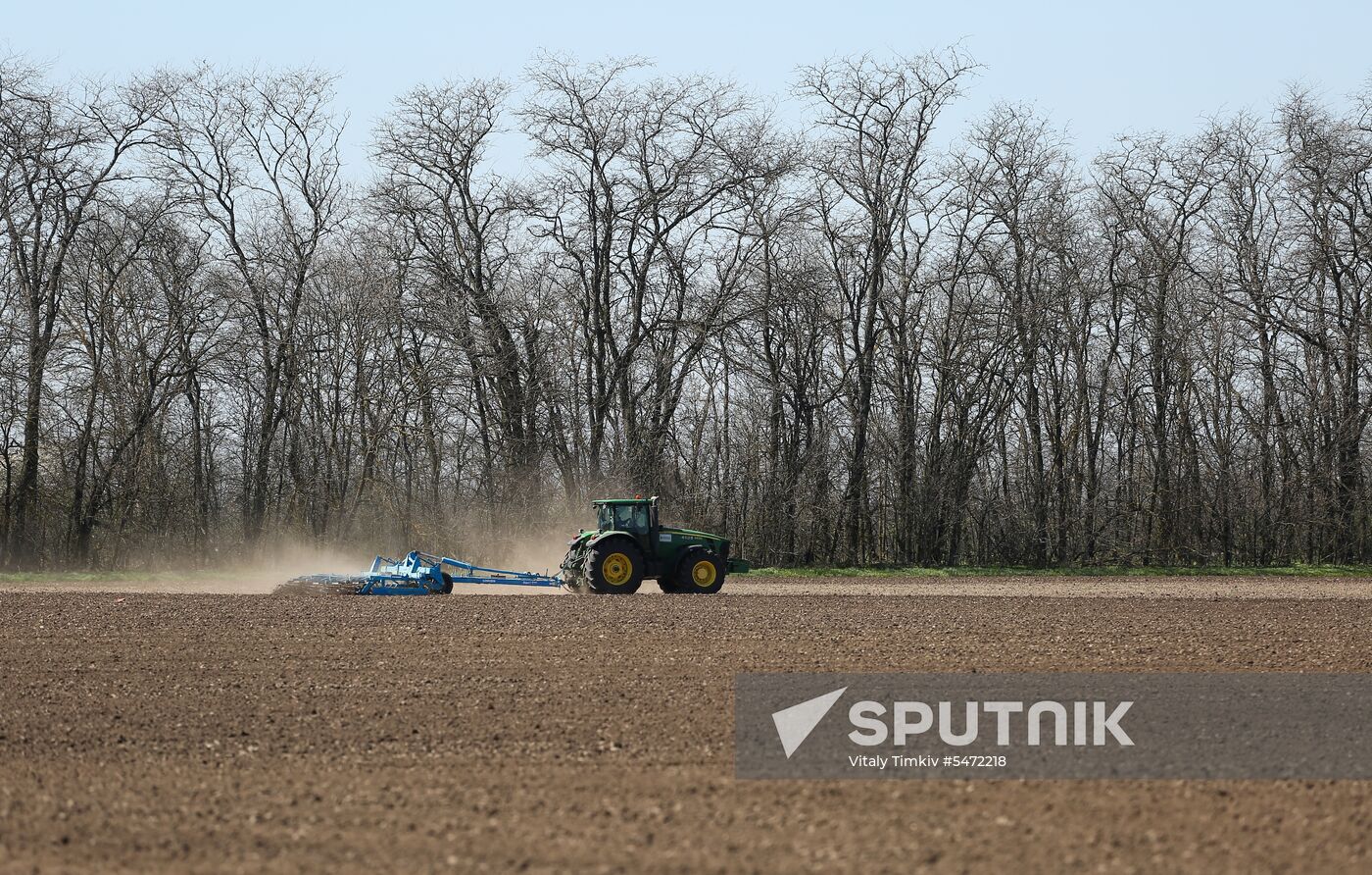 Spring sowing campaign in Krasnodar Territory