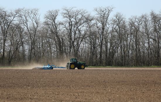 Spring sowing campaign in Krasnodar Territory