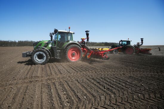 Spring sowing campaign in Krasnodar Territory