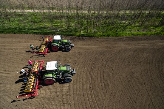 Spring sowing campaign in Krasnodar Territory