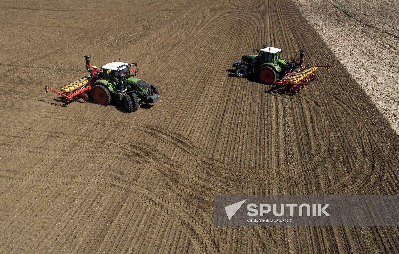 Spring sowing campaign in Krasnodar Territory