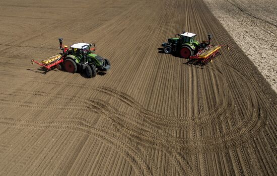 Spring sowing campaign in Krasnodar Territory