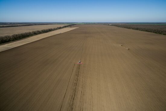Spring sowing campaign in Krasnodar Territory