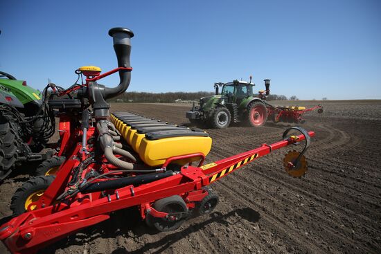 Spring sowing campaign in Krasnodar Territory
