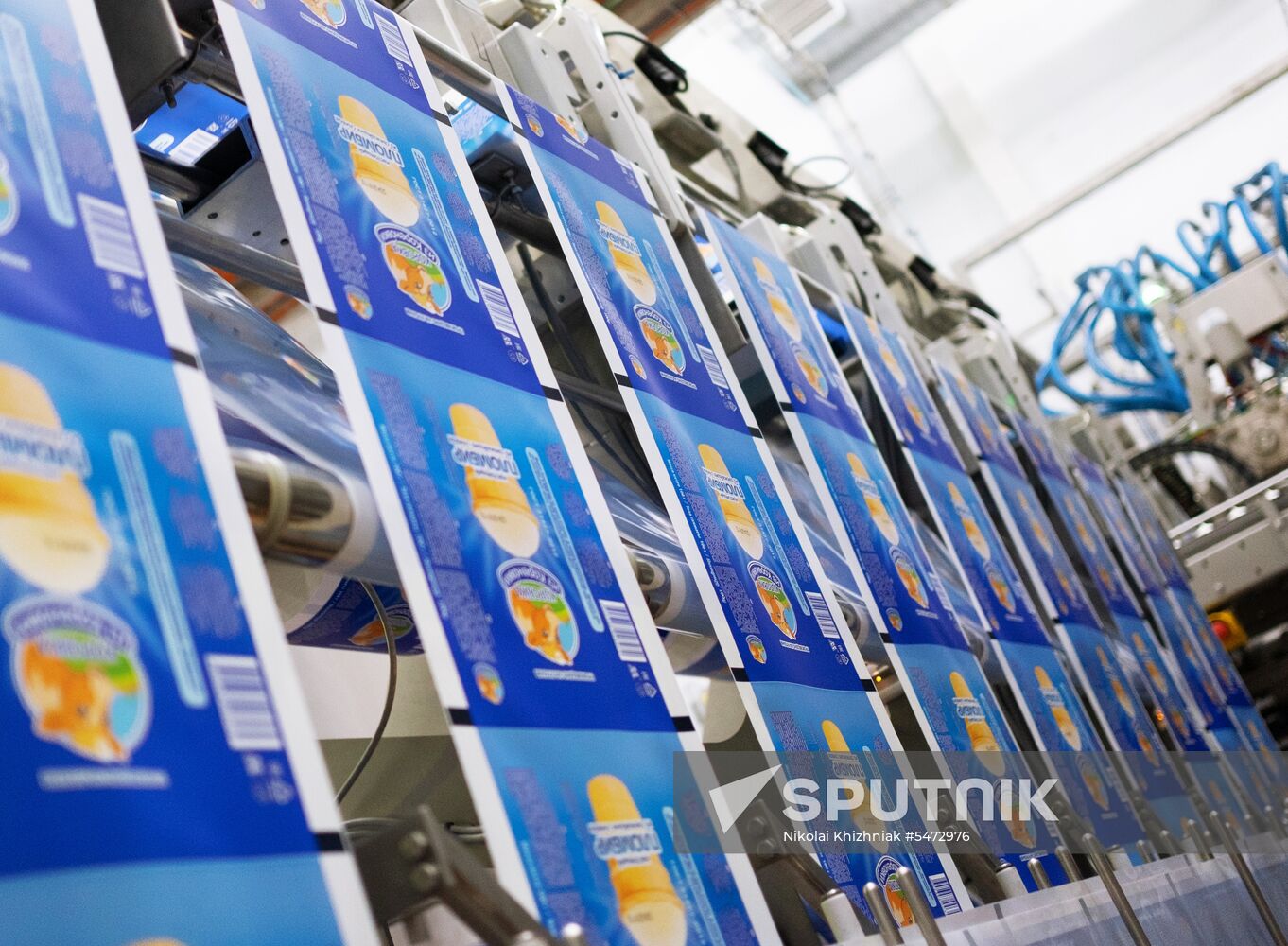 Korenovka cow ice cream production