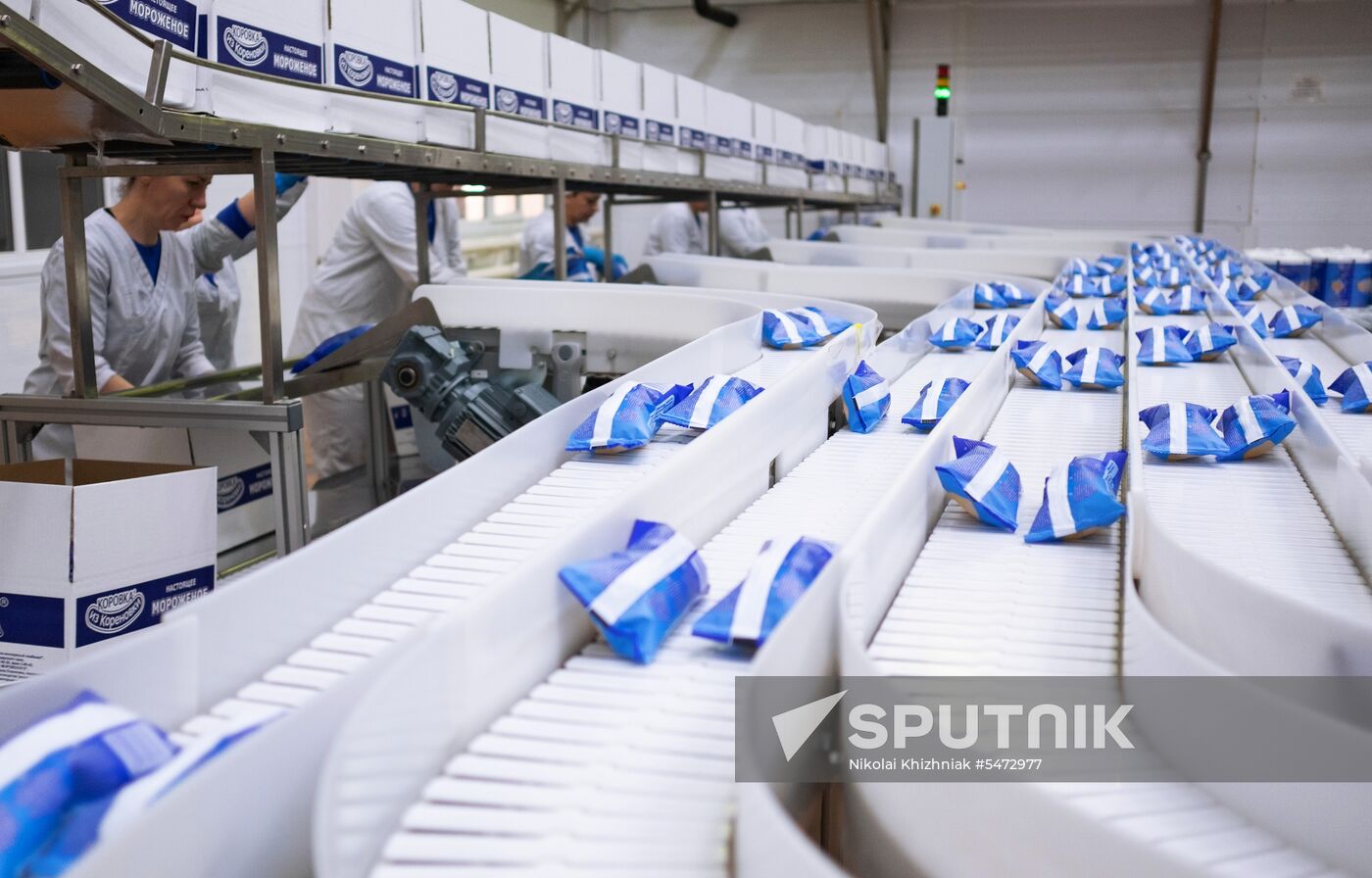Korenovka cow ice cream production