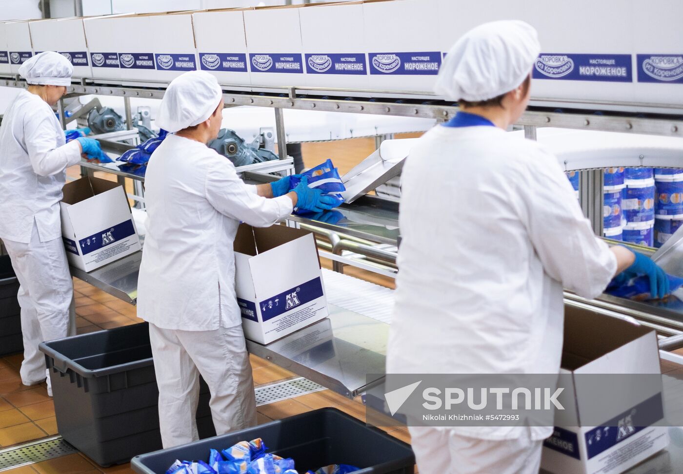 Korenovka cow ice cream production