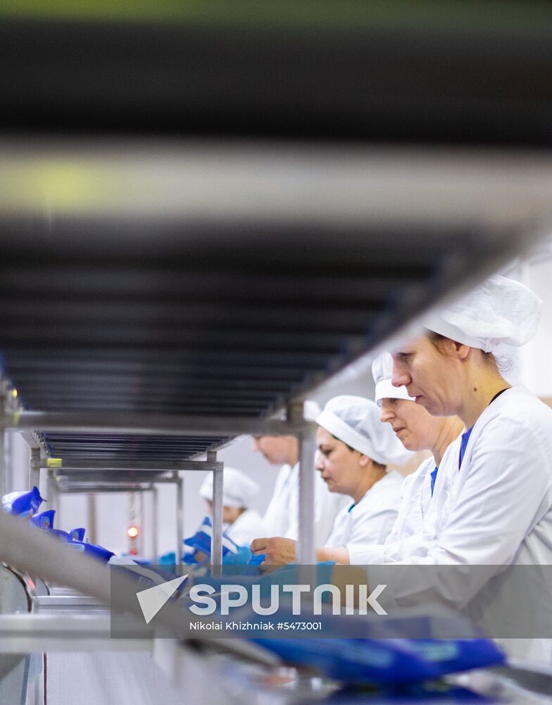 Korenovka cow ice cream production