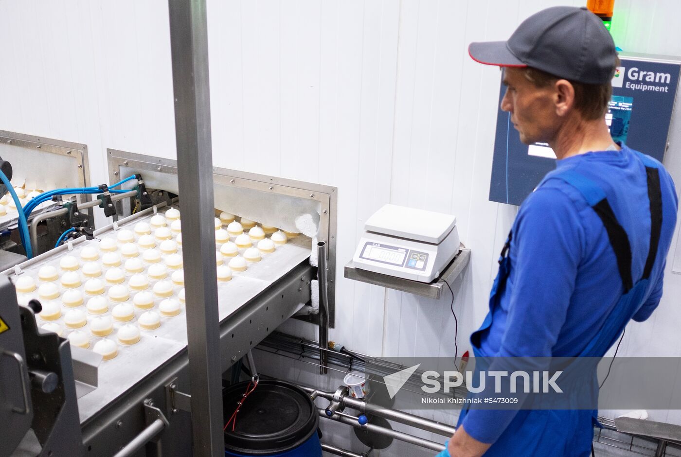 Korenovka cow ice cream production