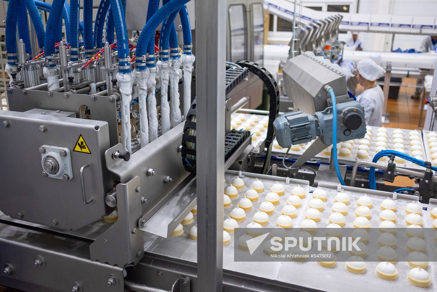 Korenovka cow ice cream production