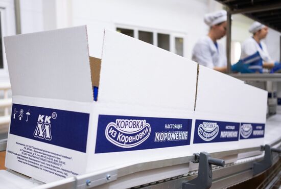 Korenovka cow ice cream production