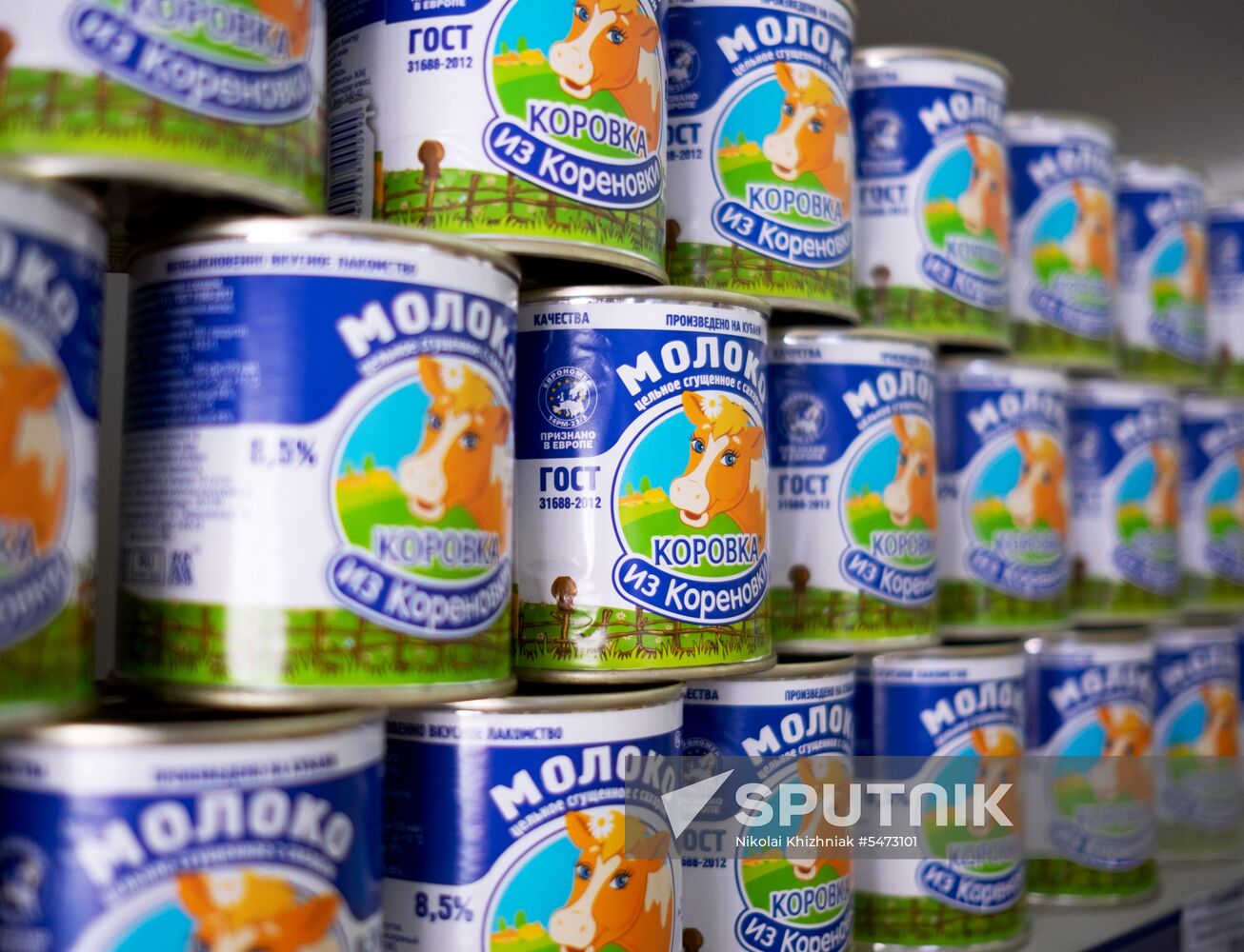 Korenovka cow ice cream production