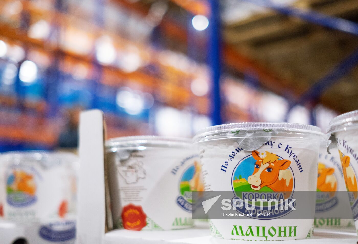 Korenovka cow ice cream production