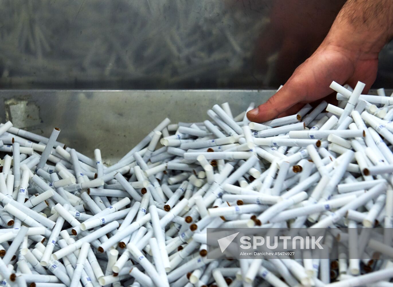 Philip Morris Izhora factory in Leningrad Region