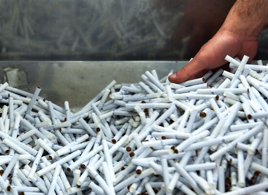 Philip Morris Izhora factory in Leningrad Region