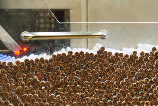 Philip Morris Izhora factory in Leningrad Region